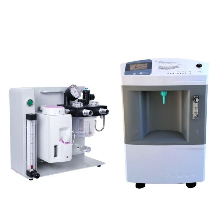 Veterinary Oxygen Concentrator Txuas Rau Kev Siv Lub Tshuab Ua kom Loog