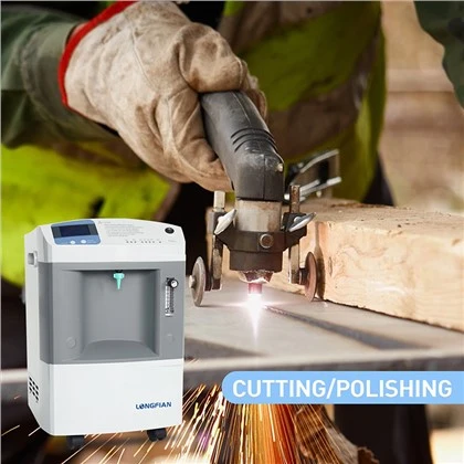 10L Portable iav tshuab O2 Concentrator